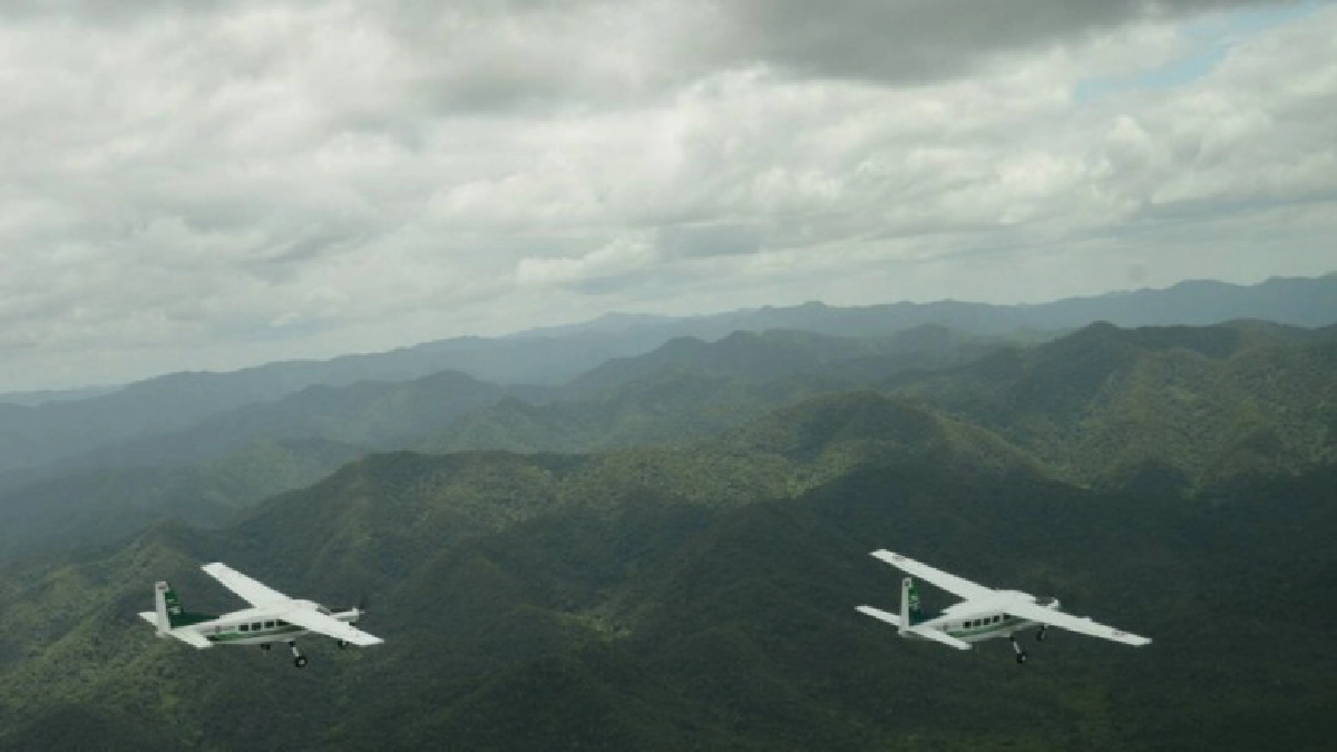 ฝนหลวงฯ โปรยเมล็ดพันธุ์มะค่าโมงและประดู่ลุ่มน้ำแก่งกระจาน