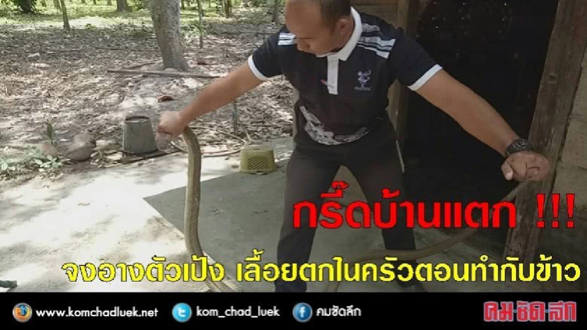 กรี๊ดบ้านแตก !!! จงอางตัวเป้งหล่นในครัวตอนทำกับข้าว กรี๊ดบ้านแตก !!! จงอางตัวเป้งหล่นในครัวตอนทำกับข้าว