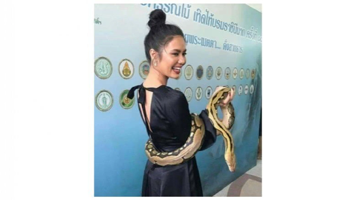 ไม่กลัวนะ ไม่กลัวนะ