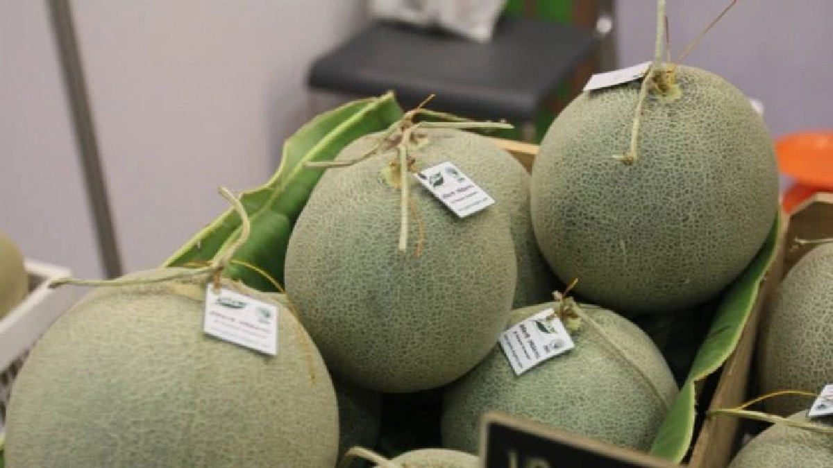  วาระ“เกษตรอินทรีย์”มุ่งตลาดสินค้าสุขภาพรับเทรนด์โลก    