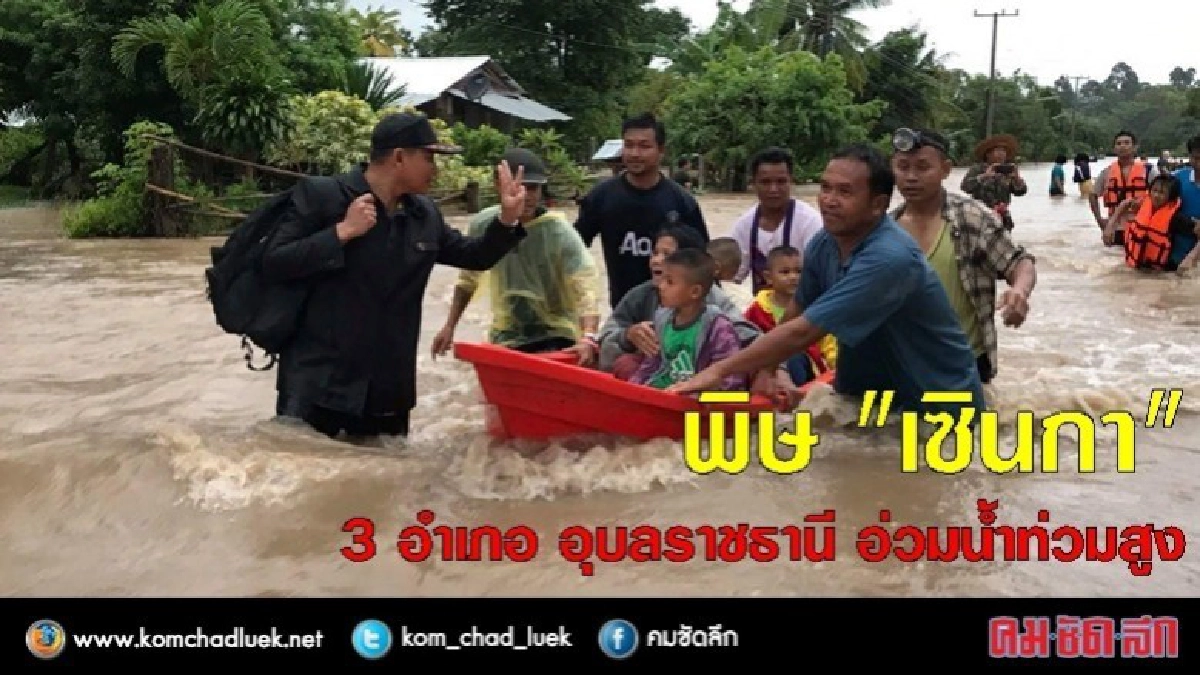 พิษ "เซินกา" !!! 3 อำเภอ เมืองอุบล อ่วมถูกตัดขาดโลกภายนอก พิษ "เซินกา" !!! 3 อำเภอ เมืองอุบล อ่วมถูกตัดขาดโลกภายนอก