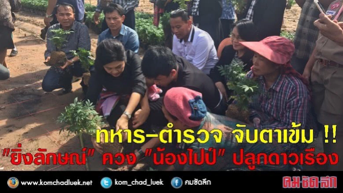 "ยิ่งลักษณ์" ควง "น้องไปป์" ปลูกดาวเรือง เมืองอุบล "ยิ่งลักษณ์" ควง "น้องไปป์" ปลูกดาวเรือง เมืองอุบล