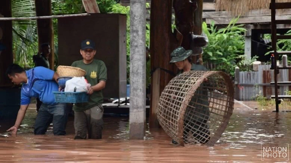 อุตรดิตถ์อ่วม! 'เซินกา'ถล่ม 2 อำเภอน้ำป่าทะลัก อุตรดิตถ์อ่วม! 'เซินกา'ถล่ม 2 อำเภอน้ำป่าทะลัก