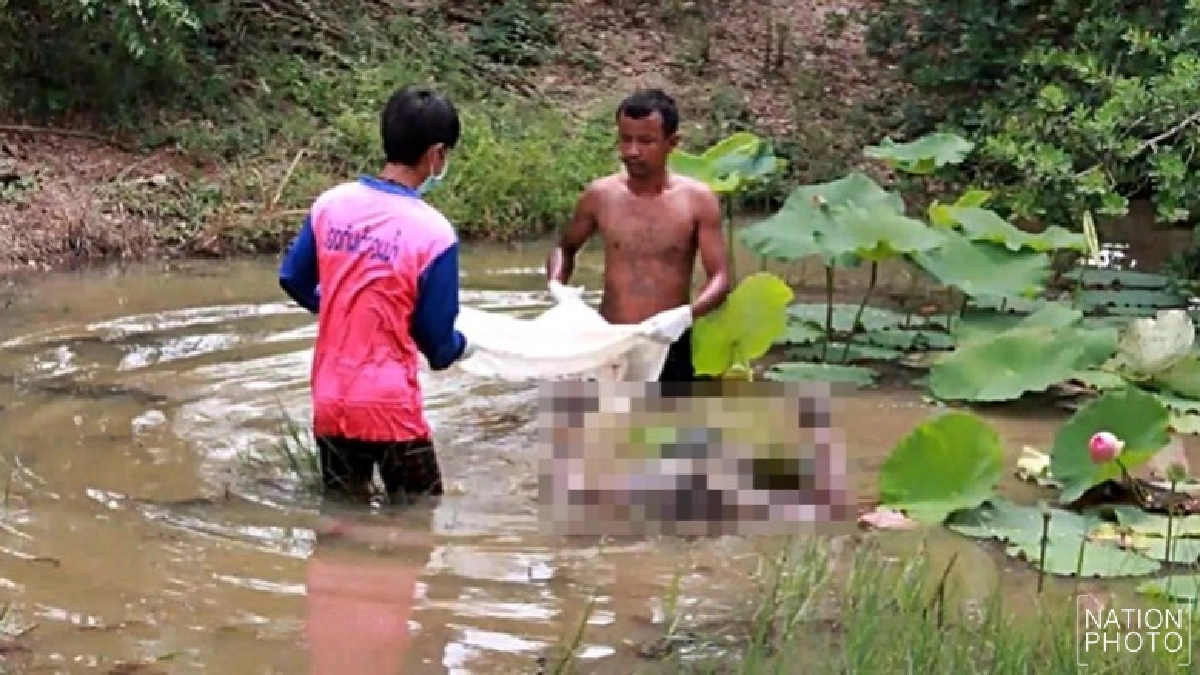 หายไป2วัน!พบอีกทีกลายเป็นศพ หายไป2วัน!พบอีกทีกลายเป็นศพ