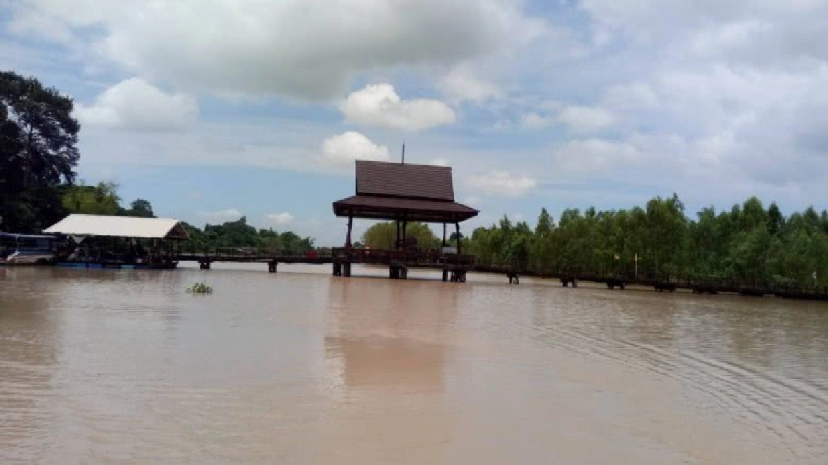 น้ำท่วมสะพานไม้วัดเกาะเกิ้ง แหล่งเที่ยวใหม่เมืองสารคาม น้ำท่วมสะพานไม้วัดเกาะเกิ้ง แหล่งเที่ยวใหม่เมืองสารคาม