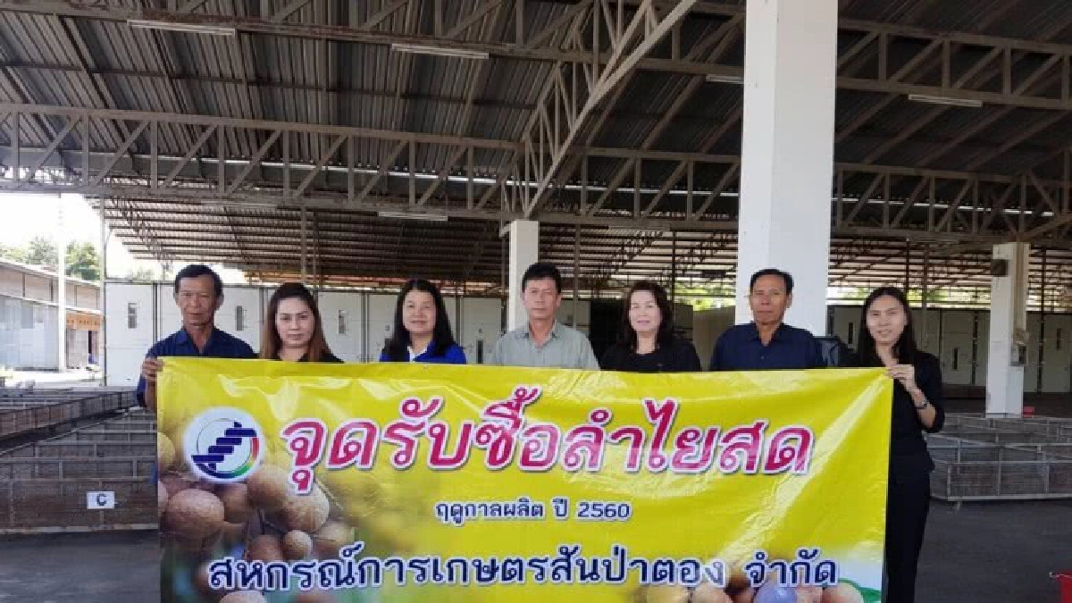 สหกรณ์ 8 จังหวัดภาคเหนือเปิดจุดรวบรวมลำไยจากเกษตรกร