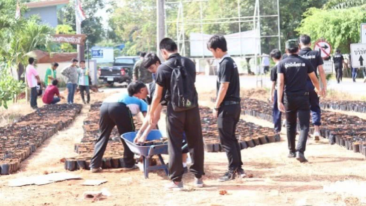 ปลูกดาวเรืองให้บานสะพรั่งถวายในหลวงร.9