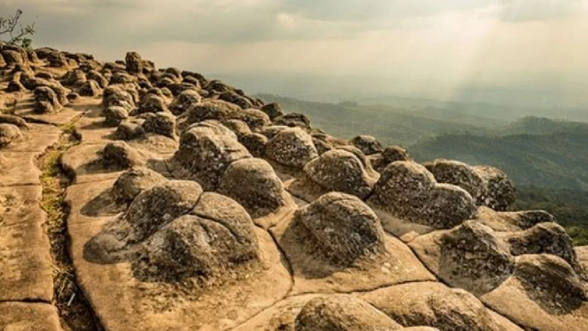 อุทยานแห่งชาติภูหินร่องกล้า พิษณุโลก จ.พิษณุโลก