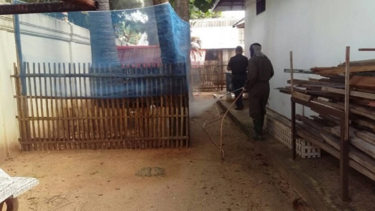 โรคห่าระบาด“ไก่-เป็ด”ป่วยตายยกเล้า