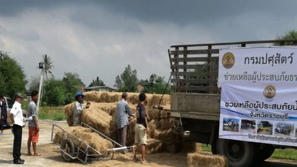 ชาวปศุสัตว์ร่วมใจ ช่วยเหลือสัตว์ประสบภัยน้ำท่วม