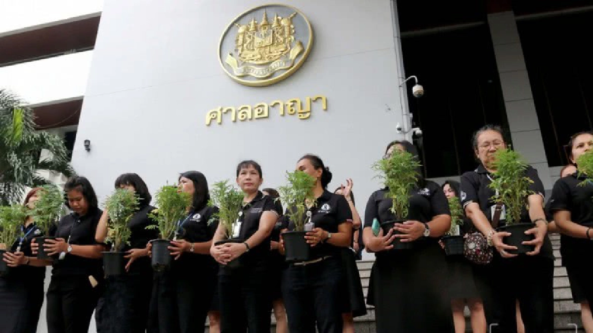 "อธ.ศาลอาญา" เปิดโครงการ " 999 ดอกดาวเรือง (ภาพชุด) "อธ.ศาลอาญา" เปิดโครงการ " 999 ดอกดาวเรือง (ภาพชุด)