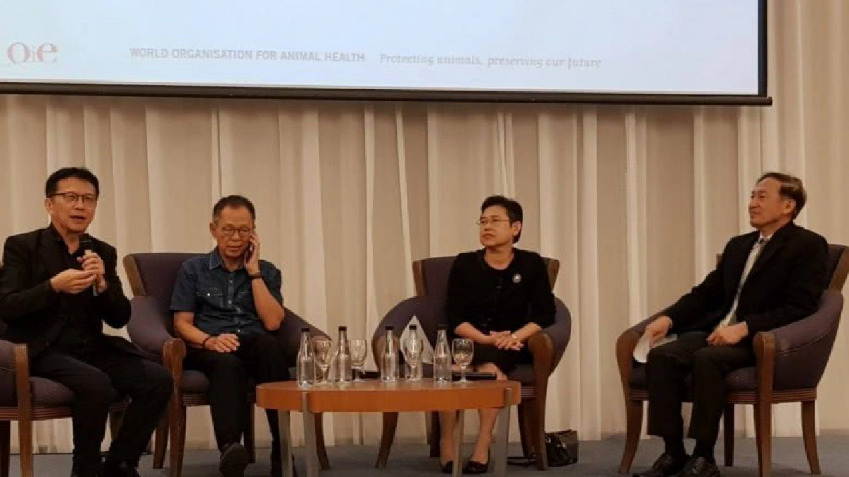 ชี้ไก่และไข่ไทยปลอดภัยไร้กังวล