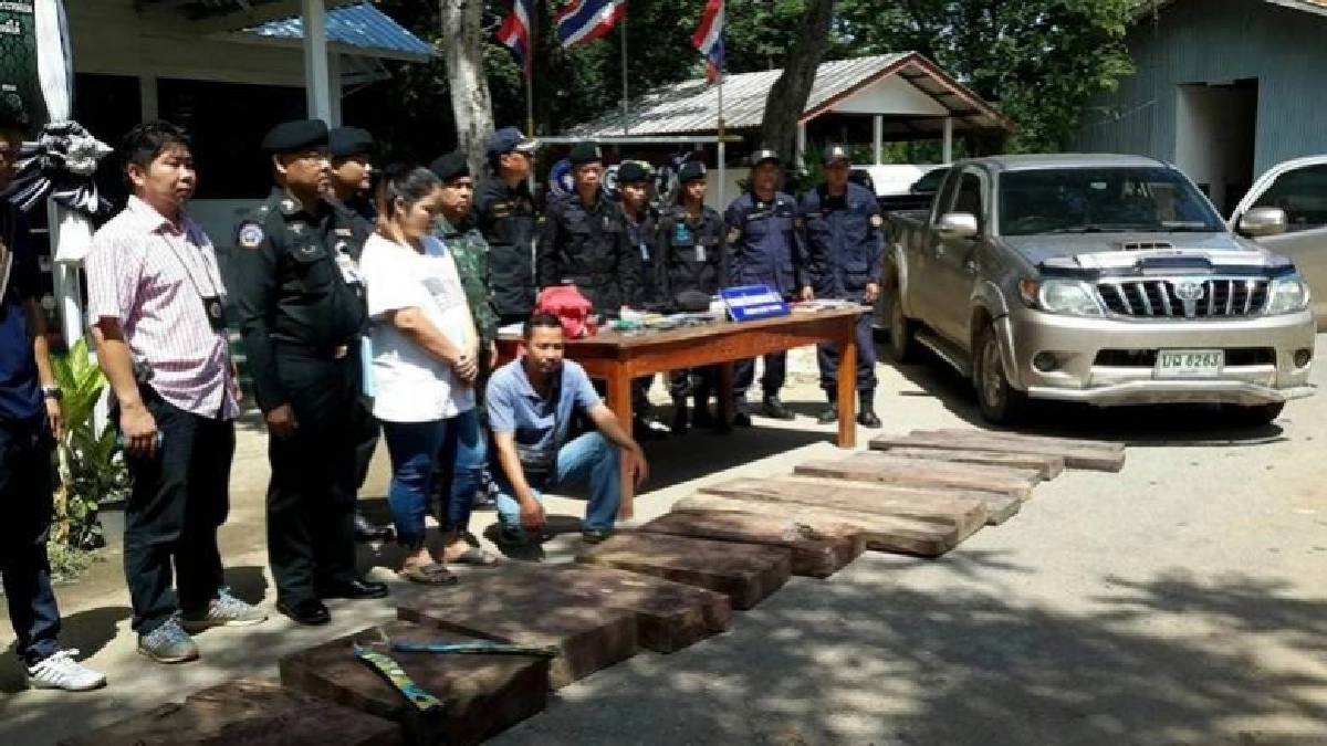 บุกจับไม้พะยูงคาบ้านพักเตรียมส่งออกเขมร บุกจับไม้พะยูงคาบ้านพักเตรียมส่งออกเขมร