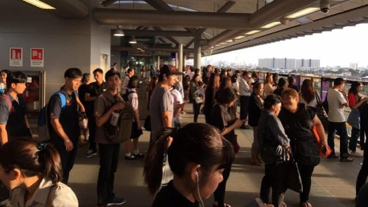 ปชช. แห่นั่งรถไฟฟ้าสายสีม่วง หลังเชื่อมต่อที่เตาปูน ปชช. แห่นั่งรถไฟฟ้าสายสีม่วง หลังเชื่อมต่อที่เตาปูน