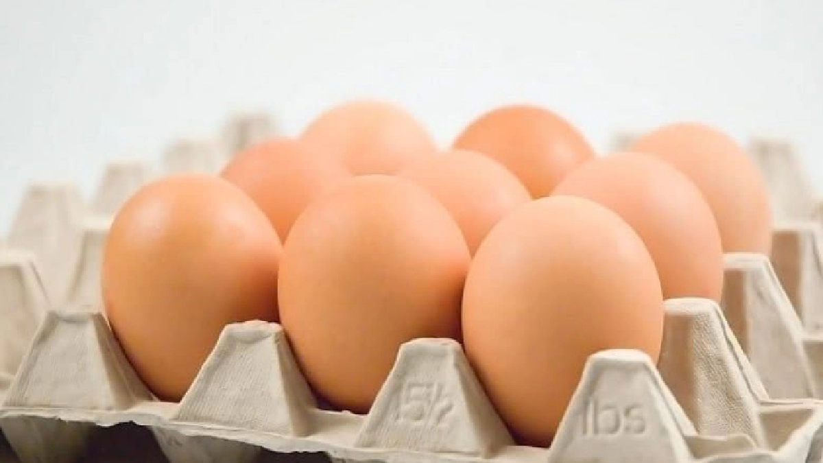 ปศุสัตว์ คุมเข้มตรวจสอบการผลิตไข่ไก่ไร้ยาฆ่าแมลงปนเปื้อน ปศุสัตว์ คุมเข้มตรวจสอบการผลิตไข่ไก่ไร้ยาฆ่าแมลงปนเปื้อน