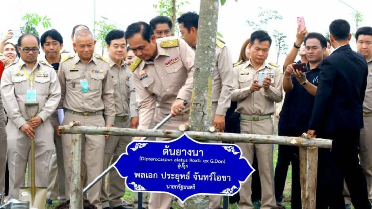 นำร่องที่อยุธยาโครงการ“ประชารัฐร่วมใจปลูกต้นไม้ให้แผ่นดิน” 