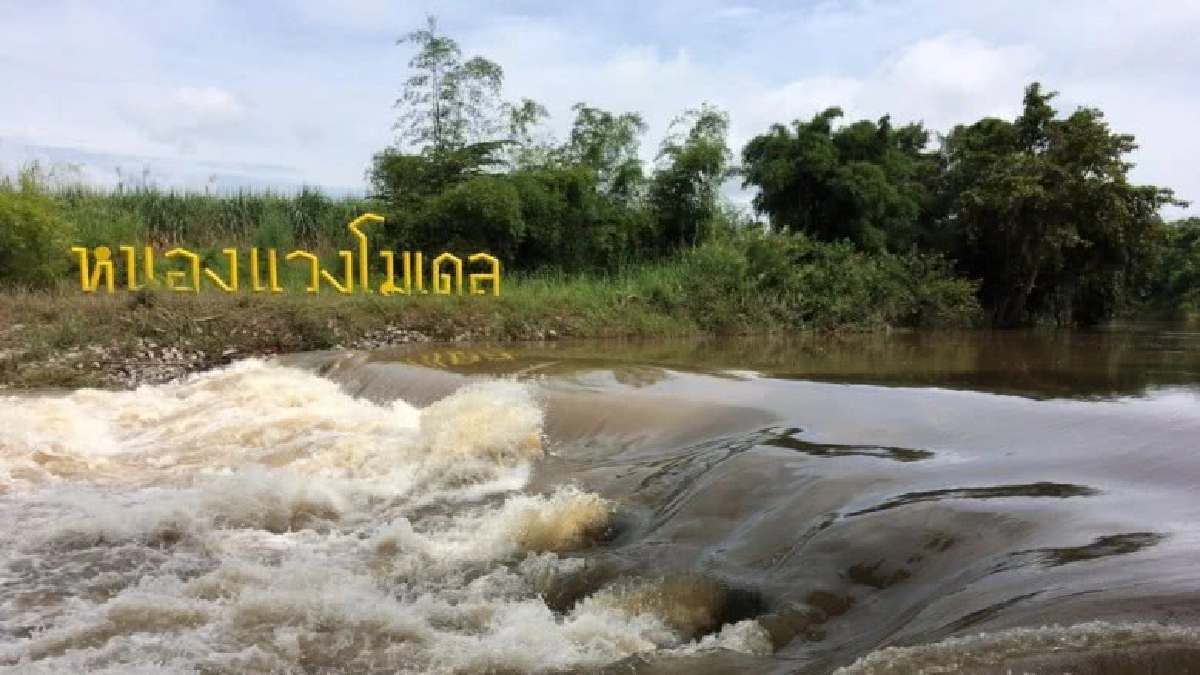 "หนองแวงโมเดล"ฝายประชารัฐแห่งแรกกั้นลำน้ำชีชุบชีวีเกษตรกร "หนองแวงโมเดล"ฝายประชารัฐแห่งแรกกั้นลำน้ำชีชุบชีวีเกษตรกร
