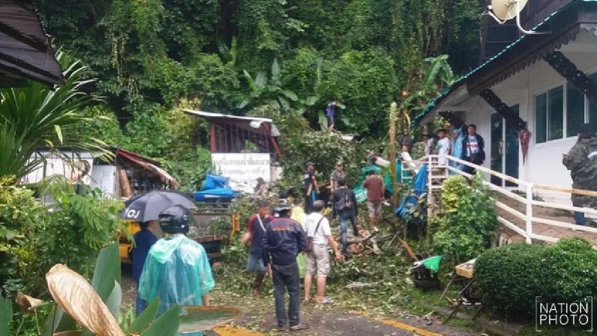 พายุฝนกระหน่ำเชียงใหม่ต้นไม้โค่นเจ็บ 2 พายุฝนกระหน่ำเชียงใหม่ต้นไม้โค่นเจ็บ 2