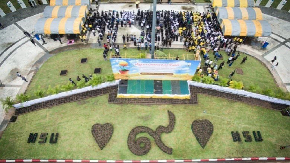 ปลูกดอกดาวเรืองแปรสัญลักษณ์เลข ๙