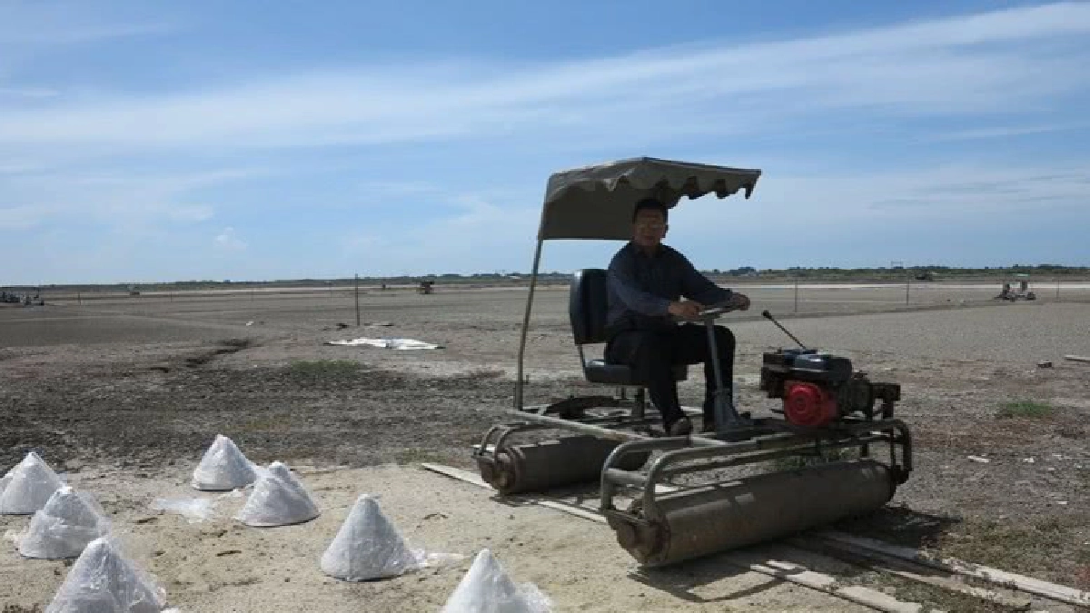 หนุนเกษตรกรนิคมสหกรณ์โคกขามรวมกลุ่มแปลงใหญ่นาเกลือ