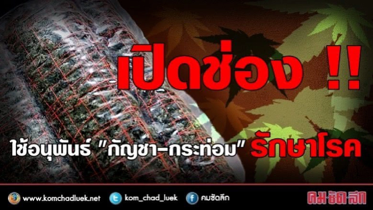 เปิดช่อง !! ใช้อนุพันธ์ "กัญชา-กระท่อม" รักษาโรค เปิดช่อง !! ใช้อนุพันธ์ "กัญชา-กระท่อม" รักษาโรค