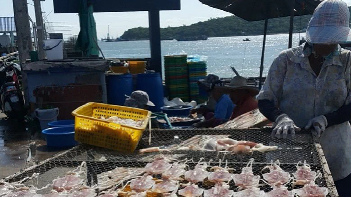 ม.บูรพาร่วมดันท่องเที่ยว "เกาะสีชัง" ม.บูรพาร่วมดันท่องเที่ยว "เกาะสีชัง"