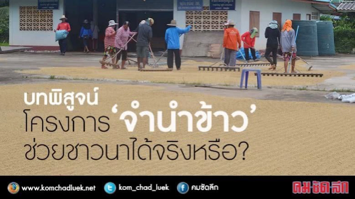  บทพิสูจน์โครงการ“จำนำข้าว”ช่วยชาวนาได้จริงหรือ? 