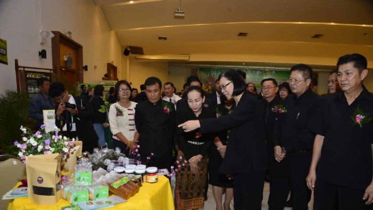  "ศรีสะเกษ" เดินหน้าเกษตรอินทรีย์สู่ครัวโลก 