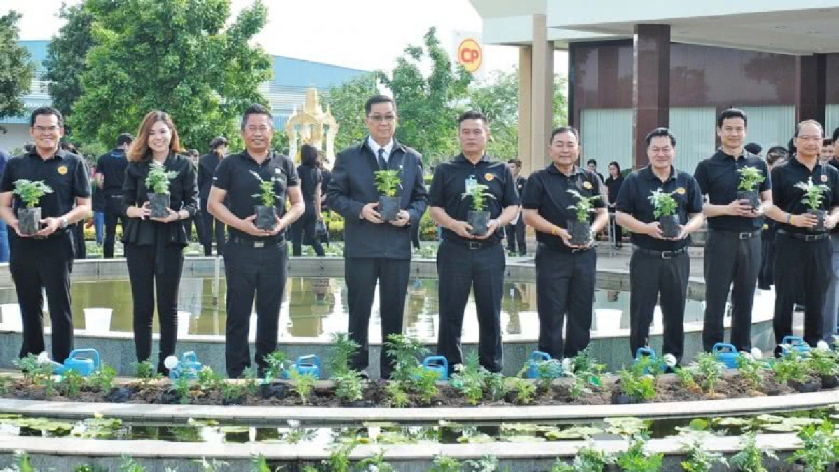 ซีพีเอฟ.ร้อยดวงใจปลูกดอกดาวเรืองถวายพ่อหลวงร.9