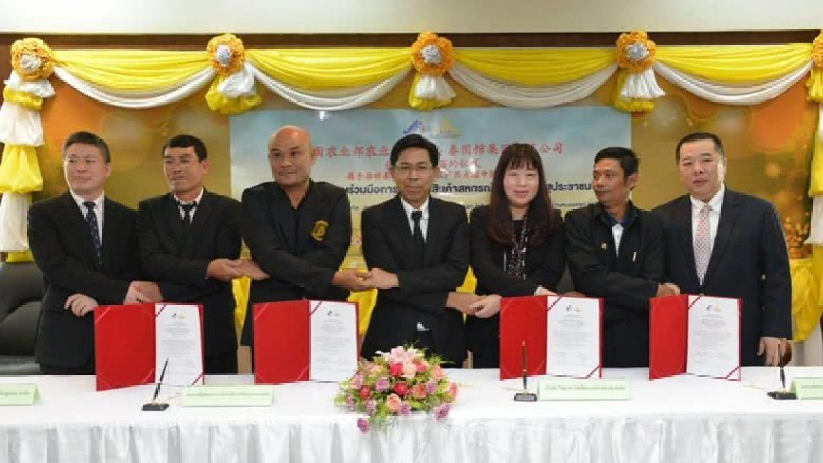 สหกรณ์จับมือทย พาวิลเลี่ยนส่งออกสินค้าสหกรณ์สู่ตลาดจีน