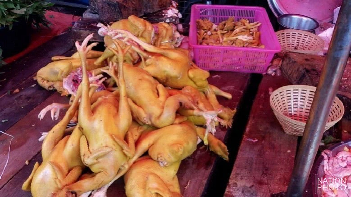 ยอดขายไก่สดในเมียนมาลดฮวบ! ยอดขายไก่สดในเมียนมาลดฮวบ!