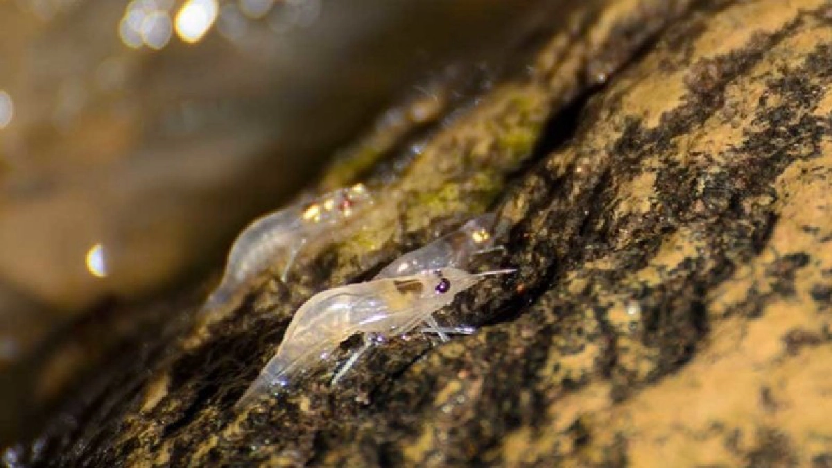 ลานพันรู อุบลราชธานี จ.อุบลราชธานี