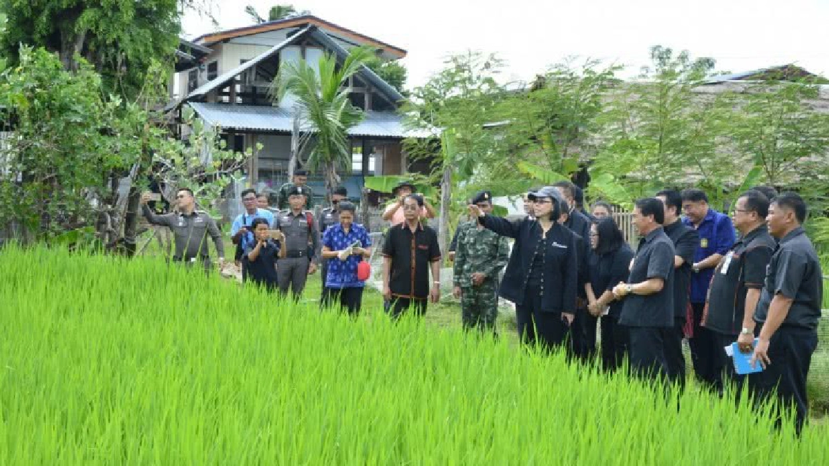 ก.เกษตรฯ พอใจความก้าวหน้าการจัดทำข้อเสนอ Thai Rice NAMA