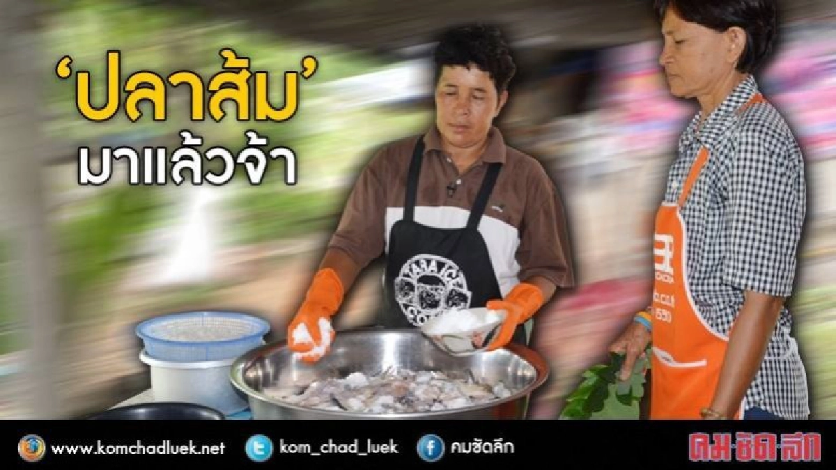 กฟก.ผลักดันแปรรูปอาหาร“ปลาส้ม”สร้างรายได้ในชุมชน กฟก.ผลักดันแปรรูปอาหาร“ปลาส้ม”สร้างรายได้ในชุมชน