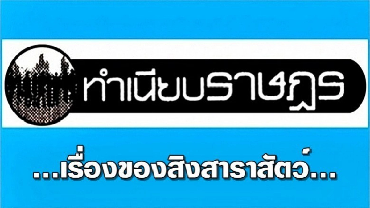 ...เรื่องของสิงสาราสัตว์... ...เรื่องของสิงสาราสัตว์...