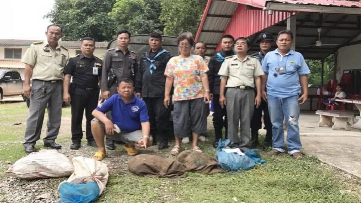 รวบหนุ่มใหญ่ลอบขนตัวนิ่ม รวบหนุ่มใหญ่ลอบขนตัวนิ่ม