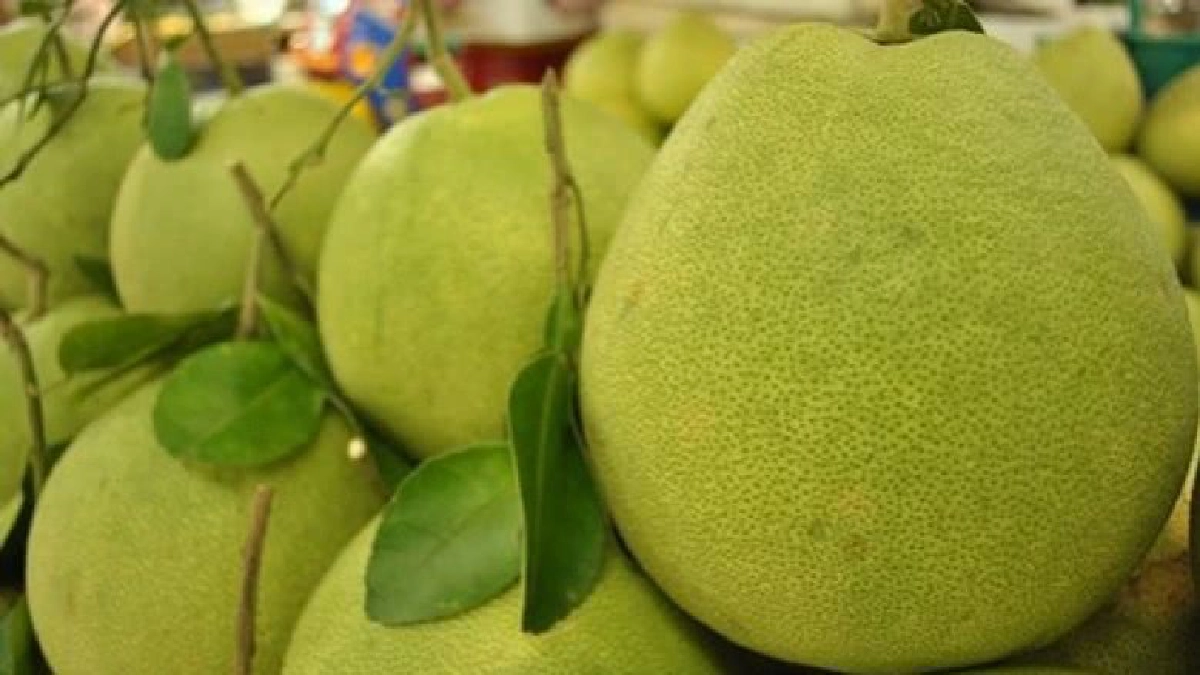 ส้มโอเวียงแก่นกระตุ้นท่องเที่ยวสร้างรายได้ 400 ล้านต่อปี