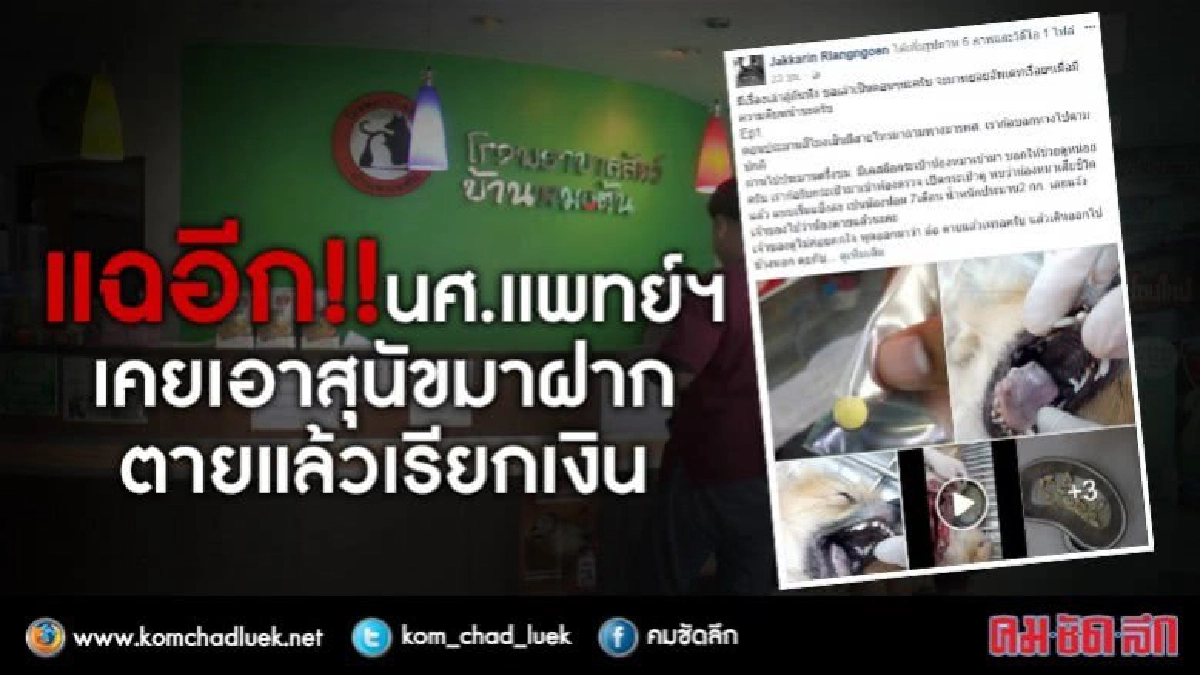 แฉอีก!!วางยาสุนัขเรียกเงินประกันรพ.สัตว์ แฉอีก!!วางยาสุนัขเรียกเงินประกันรพ.สัตว์