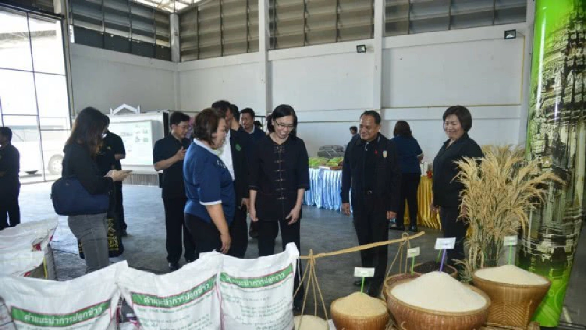 เกษตรฯเดินหน้าเชื่อมโยงตลาดข้าวอินทรีย์และข้าวGA ครบวงจร