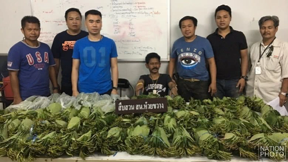 รวบพ่อค้าใบกระท่อมยึดของกลาง21กก. รวบพ่อค้าใบกระท่อมยึดของกลาง21กก.