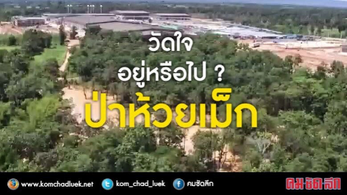 วัดใจ อยู่หรือไป ? ป่าห้วยเม็ก วัดใจ อยู่หรือไป ? ป่าห้วยเม็ก