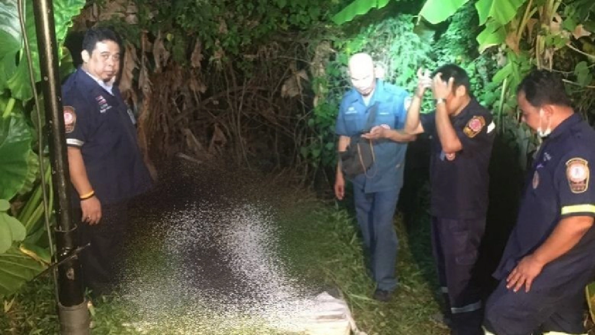 ฝากขังลูกชาย-รับทิ้งศพแม่ย่านอุดมสุขเหตุไม่มีเงินทำศพ ฝากขังลูกชาย-รับทิ้งศพแม่ย่านอุดมสุขเหตุไม่มีเงินทำศพ