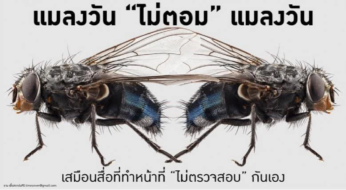 "ธาม" หนุน "สมาคมสื่อฯ" ลุยสอบ "บิ๊กสื่อฯ" ขี้หลี "ธาม" หนุน "สมาคมสื่อฯ" ลุยสอบ "บิ๊กสื่อฯ" ขี้หลี