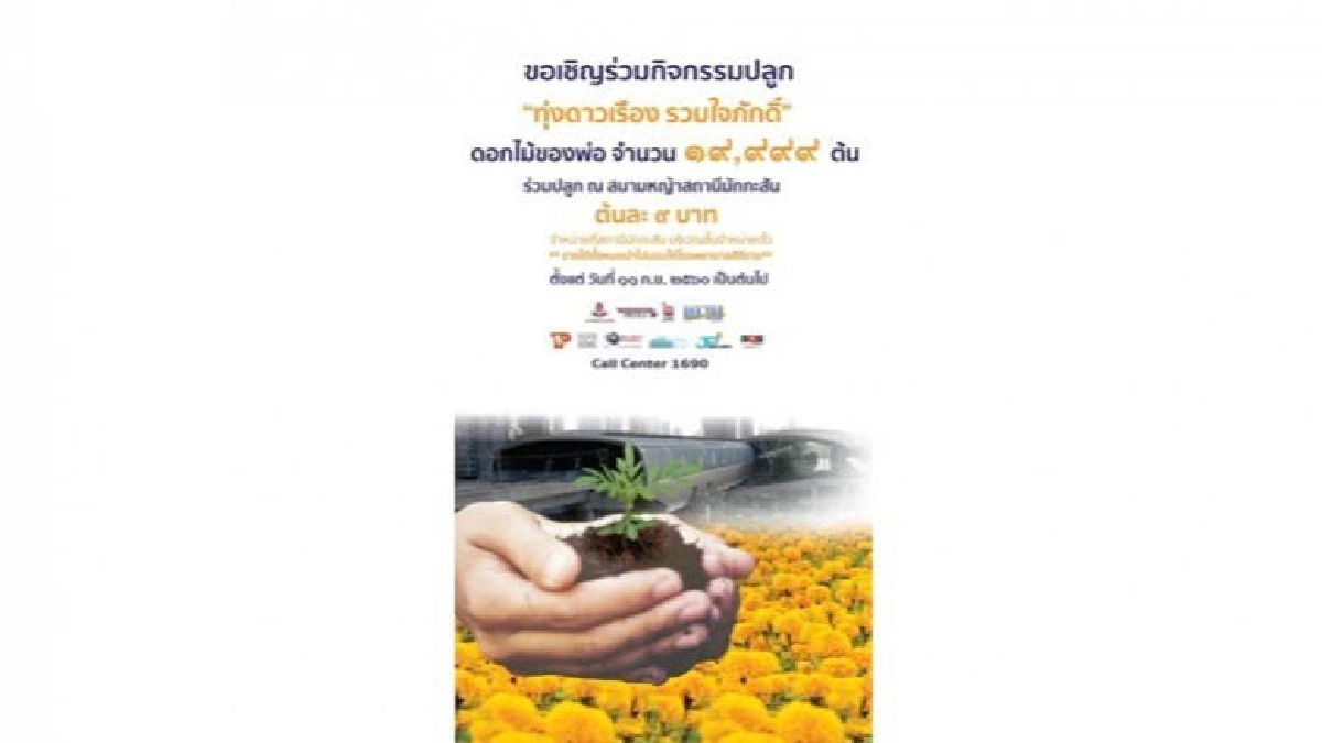 กิจกรรม " ทุ่งดาวเรือง รวมใจภักดิ์ "ทุ่งดอกไม้ของพ่อ กิจกรรม " ทุ่งดาวเรือง รวมใจภักดิ์ "ทุ่งดอกไม้ของพ่อ