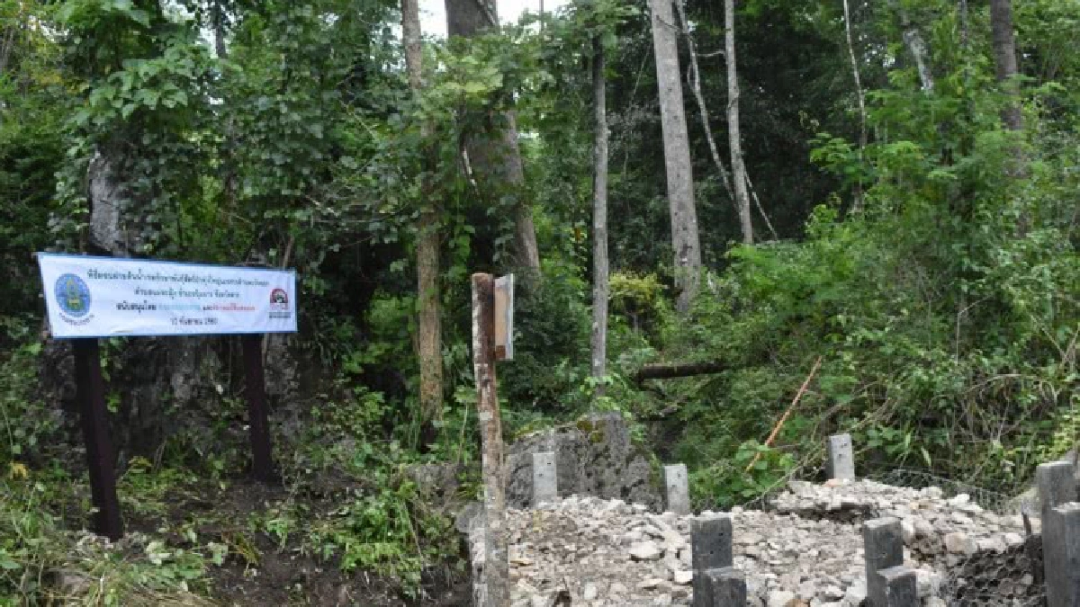 กรมชลฯบูรณาการสร้างฝายต้นน้ำฟื้นฟูป่าสานต่อพระราชดำริ