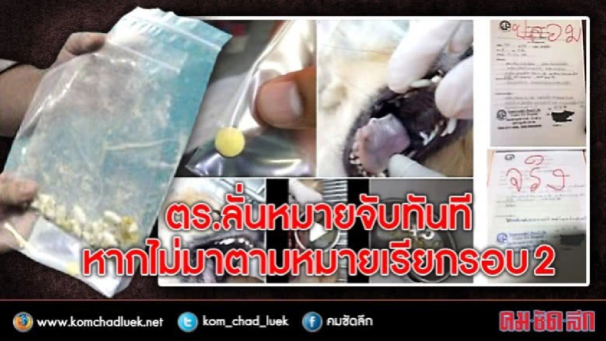 ผกก.ลั่นเจอหมายจับแน่! หาก นศ.แพทย์ วางยาหมา เบี้ยวนัด ผกก.ลั่นเจอหมายจับแน่! หาก นศ.แพทย์ วางยาหมา เบี้ยวนัด