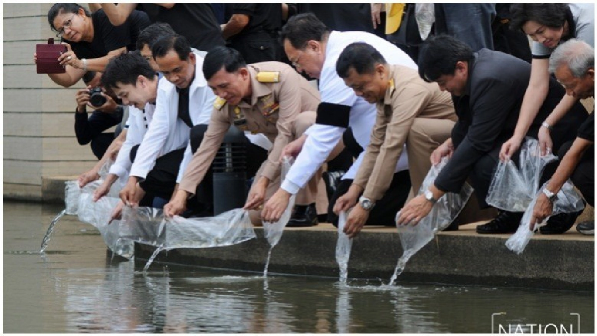 อนุรักษ์-พัฒนาแม่น้ำ คู คลองบางกอกน้อย (ภาพชุด) อนุรักษ์-พัฒนาแม่น้ำ คู คลองบางกอกน้อย (ภาพชุด)