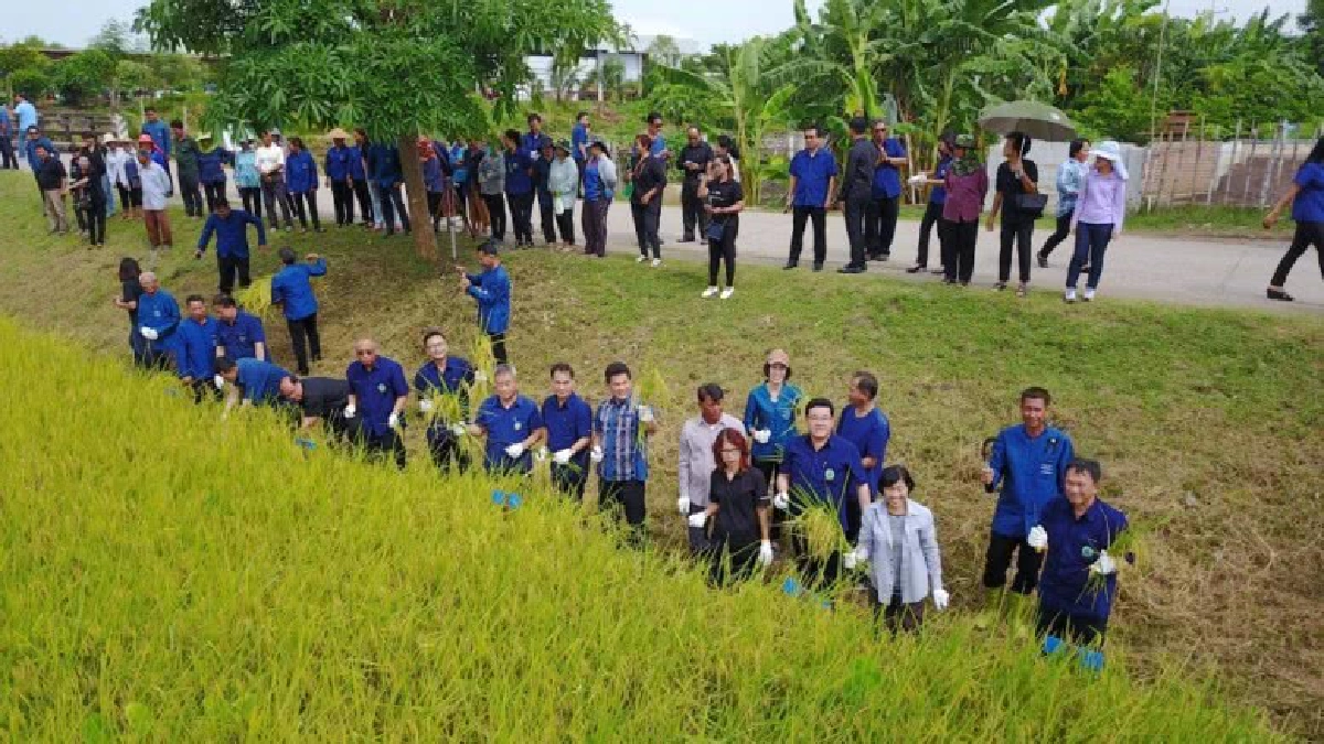  เจาะ 8 จังหวัดภาคเหนือ แจงต้นทุน-ผลตอบแทนการผลิตข้าว