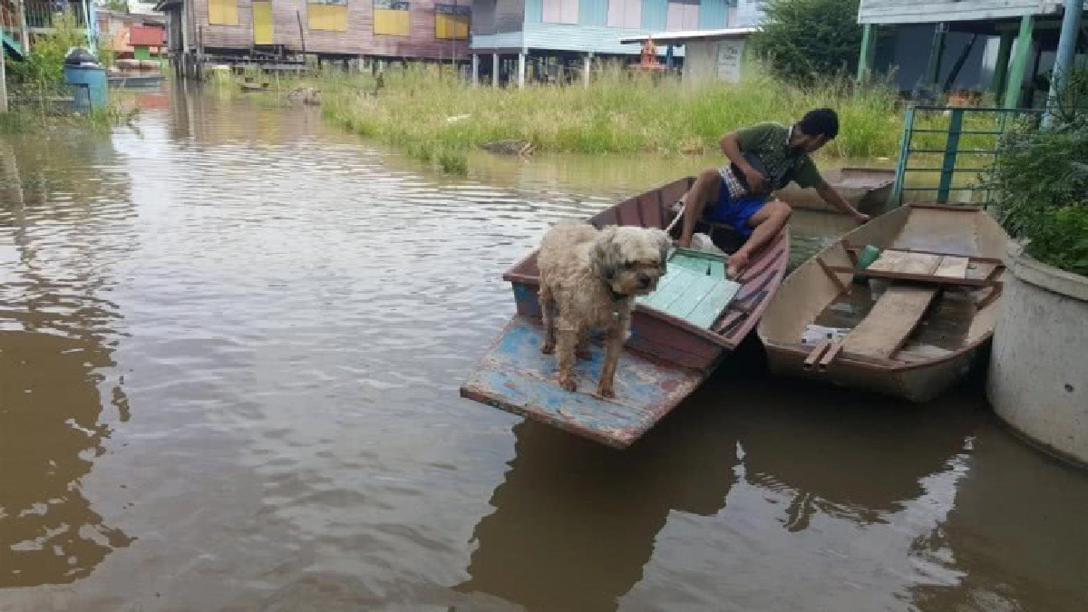 แม่น้ำยมล้นท่วมบ้านพักอาศัย แม่น้ำยมล้นท่วมบ้านพักอาศัย