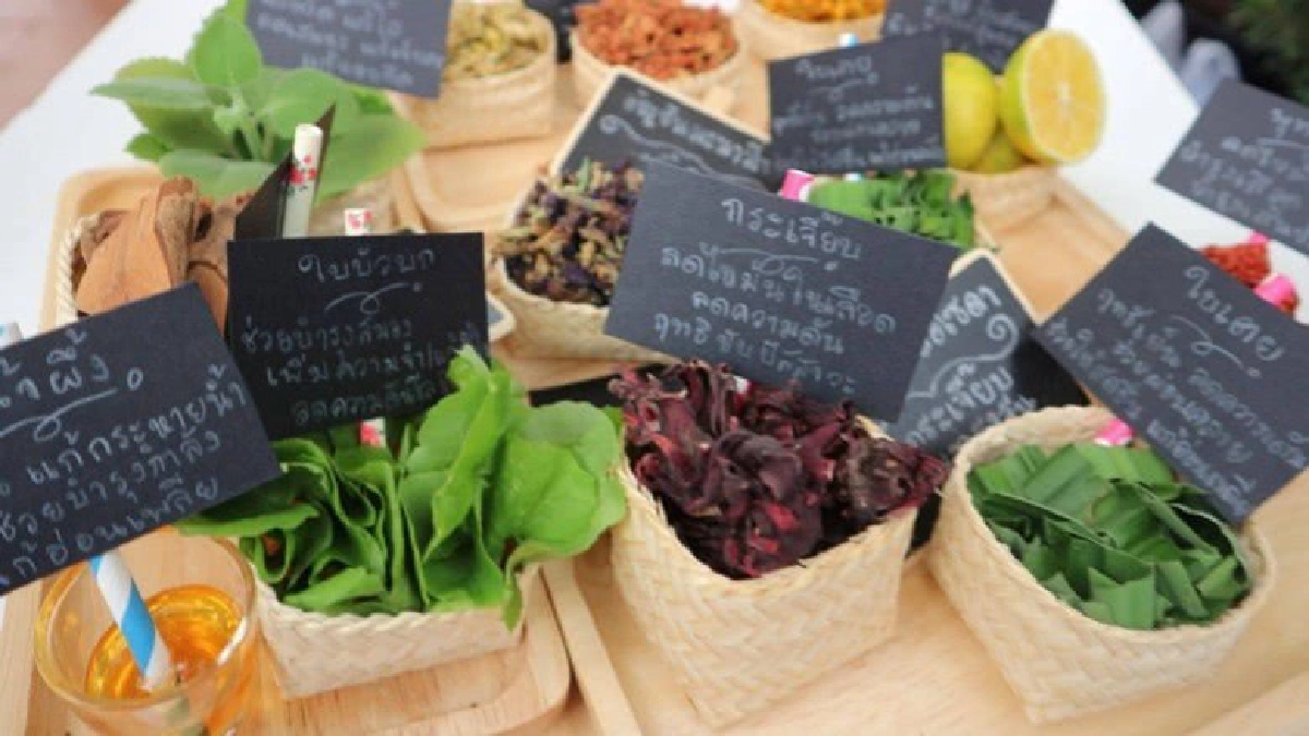 "วิจัยขายได้" นวัตกรรมเมืองสมุนไพร 